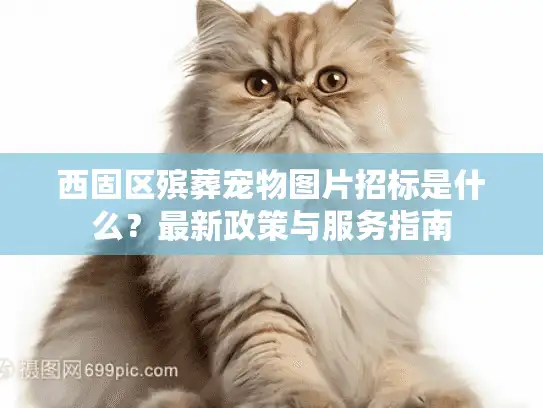 西固区殡葬宠物图片招标是什么？最新政策与服务指南