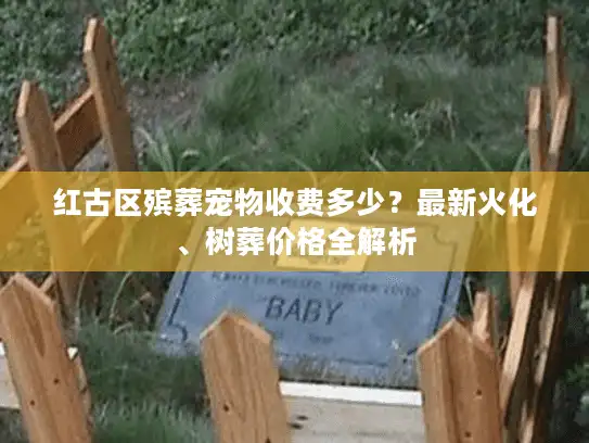 红古区殡葬宠物收费多少？最新火化、树葬价格全解析