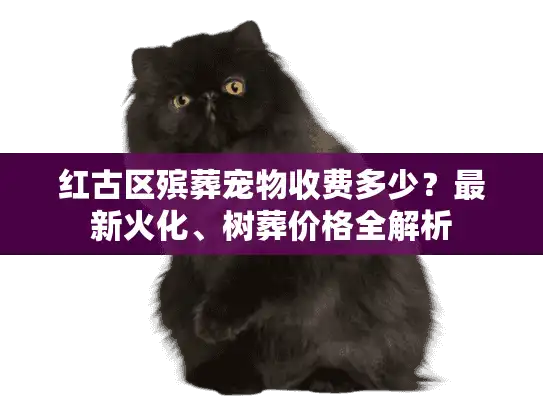 红古区殡葬宠物收费多少？最新火化、树葬价格全解析