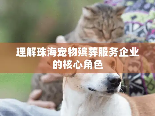 理解珠海宠物殡葬服务企业的核心角色