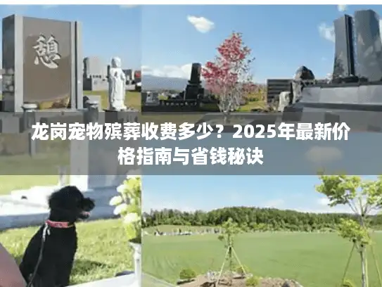 龙岗宠物殡葬收费多少？2025年最新价格指南与省钱秘诀
