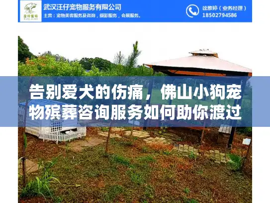 告别爱犬的伤痛，佛山小狗宠物殡葬咨询服务如何助你渡过难关？