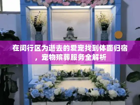 在闵行区为逝去的爱宠找到体面归宿，宠物殡葬服务全解析