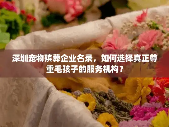 深圳宠物殡葬企业名录，如何选择真正尊重毛孩子的服务机构？