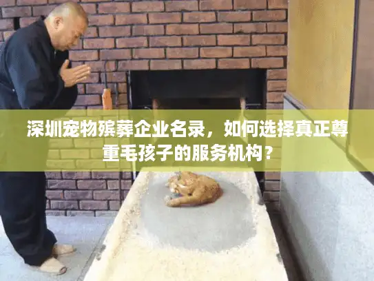 深圳宠物殡葬企业名录，如何选择真正尊重毛孩子的服务机构？