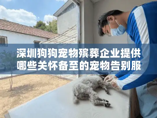 深圳狗狗宠物殡葬企业提供哪些关怀备至的宠物告别服务?