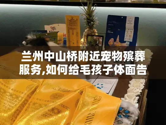 兰州中山桥附近宠物殡葬服务,如何给毛孩子体面告别?