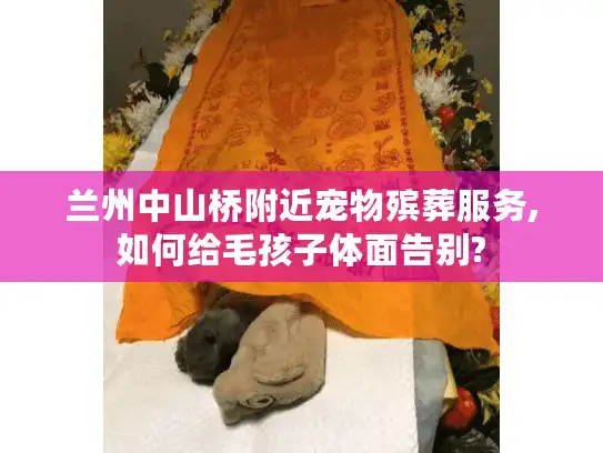 兰州中山桥附近宠物殡葬服务,如何给毛孩子体面告别?