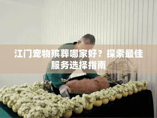 江门宠物殡葬哪家好？探索最佳服务选择指南