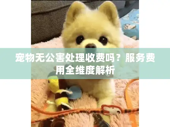 宠物无公害处理收费吗？服务费用全维度解析