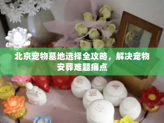 北京宠物墓地选择全攻略，解决宠物安葬难题痛点