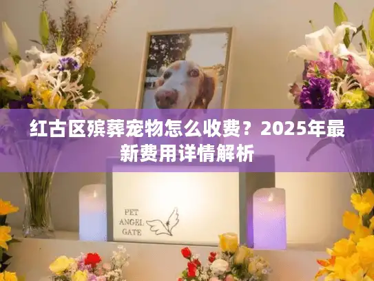 红古区殡葬宠物怎么收费？2025年最新费用详情解析