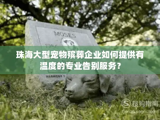 珠海大型宠物殡葬企业如何提供有温度的专业告别服务？