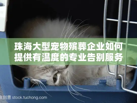 珠海大型宠物殡葬企业如何提供有温度的专业告别服务？