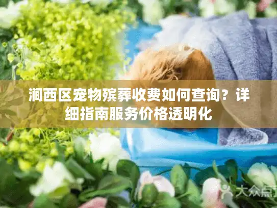 涧西区宠物殡葬收费如何查询？详细指南服务价格透明化