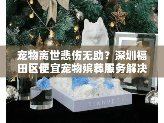 宠物离世悲伤无助？深圳福田区便宜宠物殡葬服务解决难题