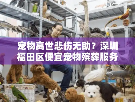 宠物离世悲伤无助？深圳福田区便宜宠物殡葬服务解决难题