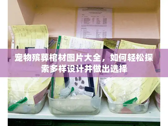 宠物殡葬棺材图片大全，如何轻松探索多样设计并做出选择
