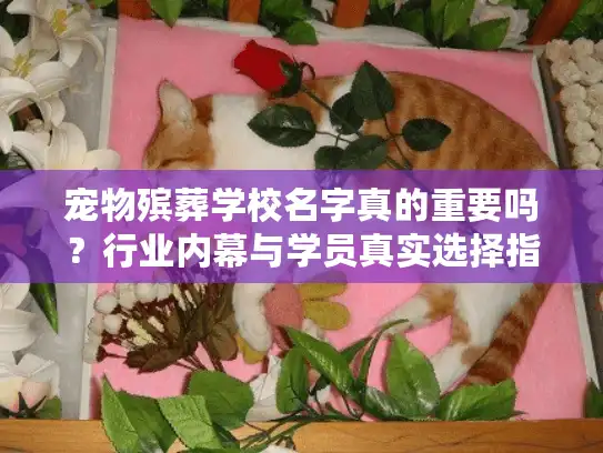 宠物殡葬学校名字真的重要吗？行业内幕与学员真实选择指南