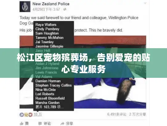 松江区宠物殡葬场，告别爱宠的贴心专业服务