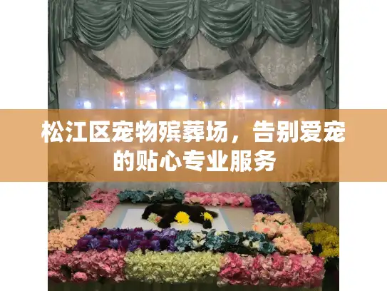 松江区宠物殡葬场，告别爱宠的贴心专业服务