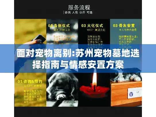 面对宠物离别:苏州宠物墓地选择指南与情感安置方案