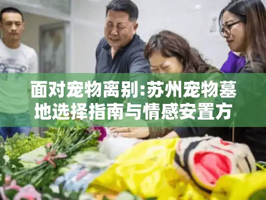 面对宠物离别:苏州宠物墓地选择指南与情感安置方案