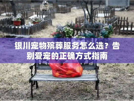 银川宠物殡葬服务怎么选？告别爱宠的正确方式指南