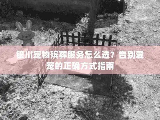 银川宠物殡葬服务怎么选？告别爱宠的正确方式指南