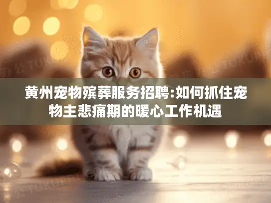 黄州宠物殡葬服务招聘:如何抓住宠物主悲痛期的暖心工作机遇