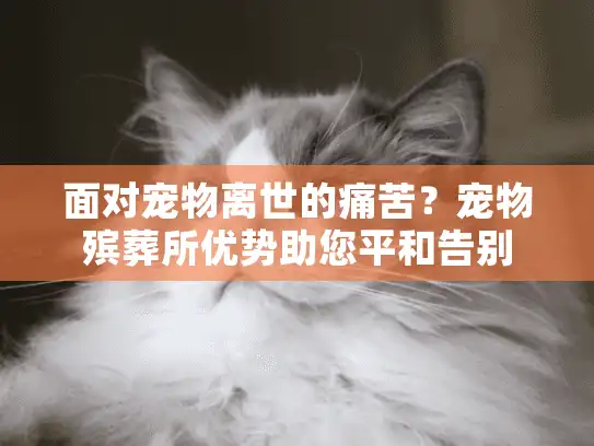 面对宠物离世的痛苦？宠物殡葬所优势助您平和告别