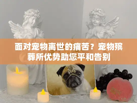 面对宠物离世的痛苦？宠物殡葬所优势助您平和告别