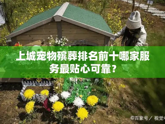 上城宠物殡葬排名前十哪家服务最贴心可靠？