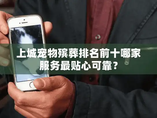 上城宠物殡葬排名前十哪家服务最贴心可靠？