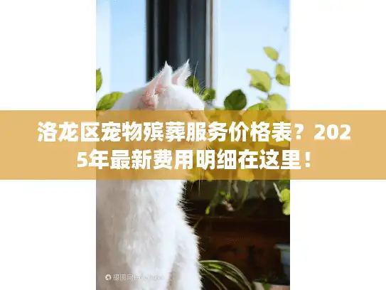 洛龙区宠物殡葬服务价格表？2025年最新费用明细在这里！