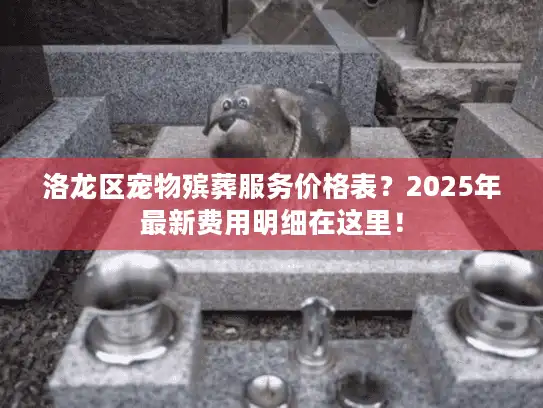 洛龙区宠物殡葬服务价格表？2025年最新费用明细在这里！
