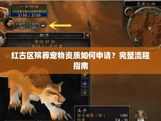 红古区殡葬宠物资质如何申请？完整流程指南