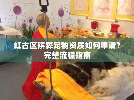 红古区殡葬宠物资质如何申请？完整流程指南