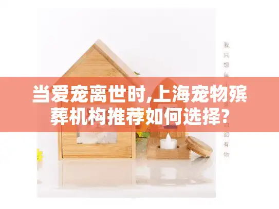 当爱宠离世时,上海宠物殡葬机构推荐如何选择?
