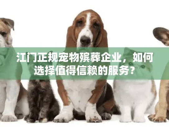 江门正规宠物殡葬企业，如何选择值得信赖的服务？