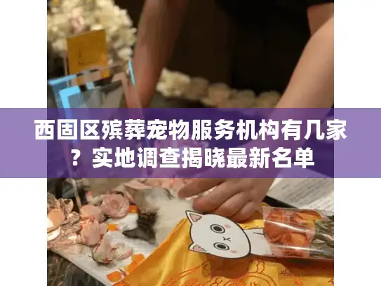 西固区殡葬宠物服务机构有几家？实地调查揭晓最新名单