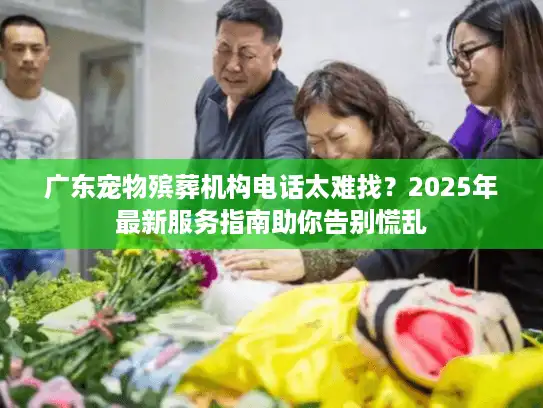广东宠物殡葬机构电话太难找？2025年最新服务指南助你告别慌乱