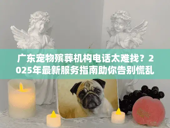 广东宠物殡葬机构电话太难找？2025年最新服务指南助你告别慌乱