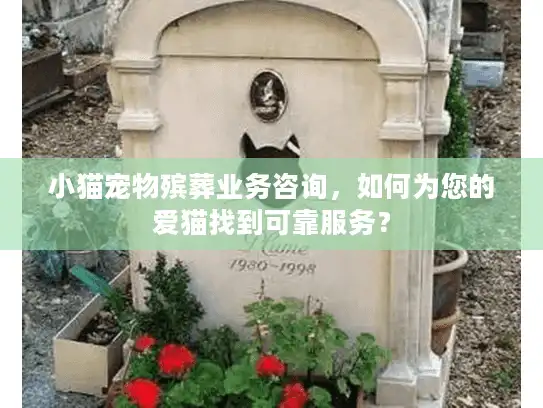 小猫宠物殡葬业务咨询，如何为您的爱猫找到可靠服务？