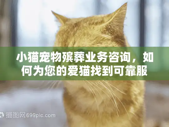 小猫宠物殡葬业务咨询，如何为您的爱猫找到可靠服务？