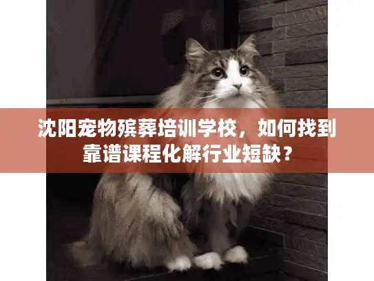 沈阳宠物殡葬培训学校，如何找到靠谱课程化解行业短缺？