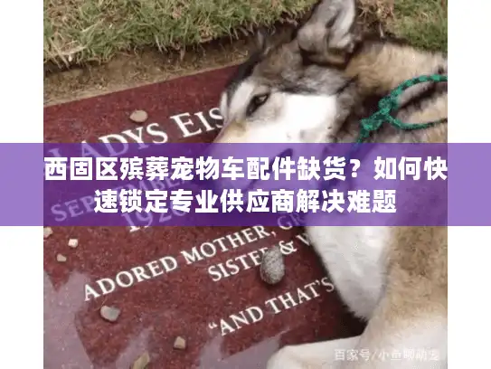 西固区殡葬宠物车配件缺货？如何快速锁定专业供应商解决难题