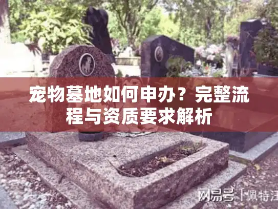 宠物墓地如何申办？完整流程与资质要求解析