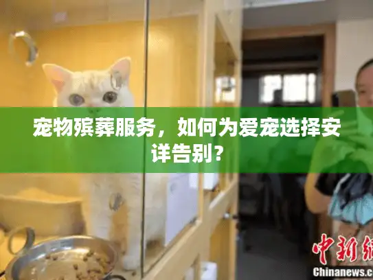 宠物殡葬服务，如何为爱宠选择安详告别？