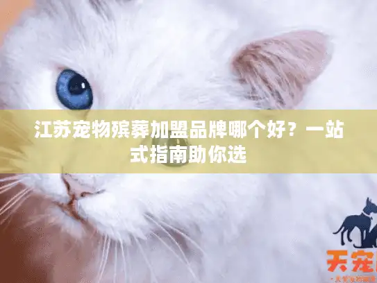 江苏宠物殡葬加盟品牌哪个好？一站式指南助你选